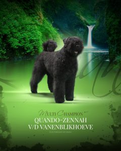 Quando-Zennah van de Vanenblikhoeve 10