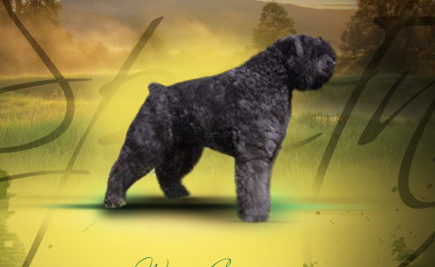 Jespoetnik-Richel v/d Vanenblikhoeve 1