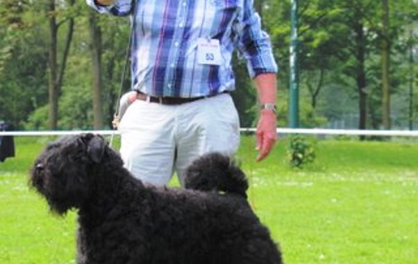 Funny-Loes van de Vanenblikhoeve