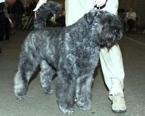 Richel-Dana van de Vanenblikhoeve