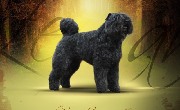 Zennah-Faisca van de Vanenblikhoeve 5